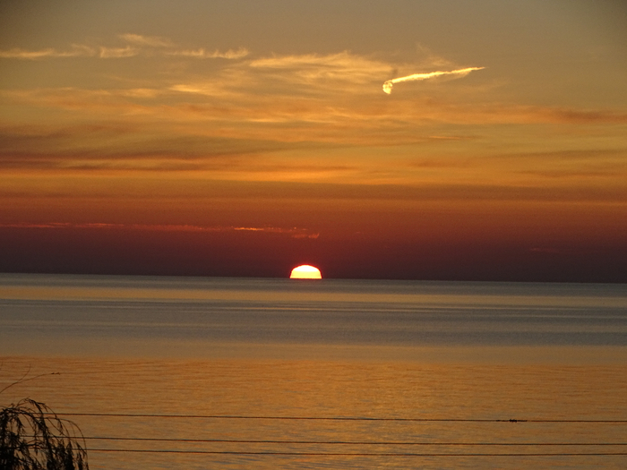 DSC00267 (700x525, 318Kb)