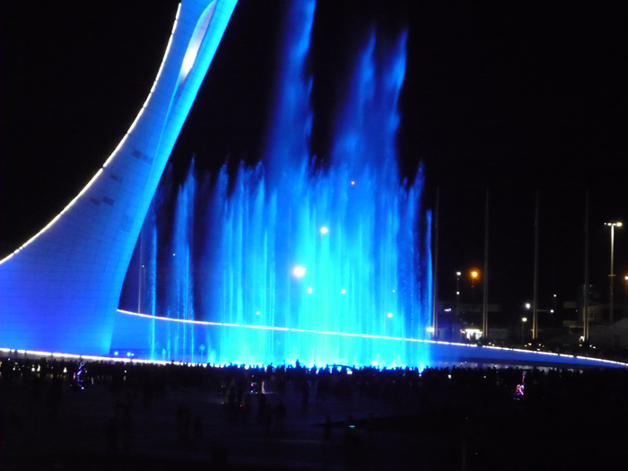 P1280634 (700x525, 276Kb)