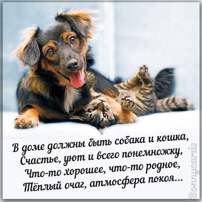 4743317_image20201109_06_20_40 (700x700, 291Kb)