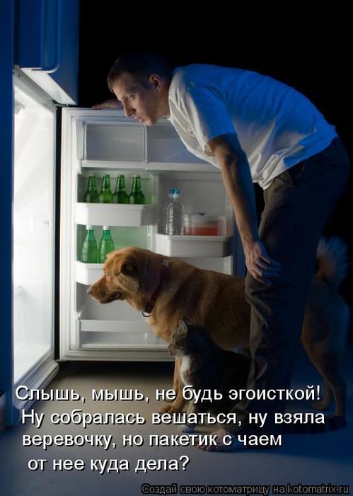 4743317_kotomatritsa_m (499x700, 45Kb)