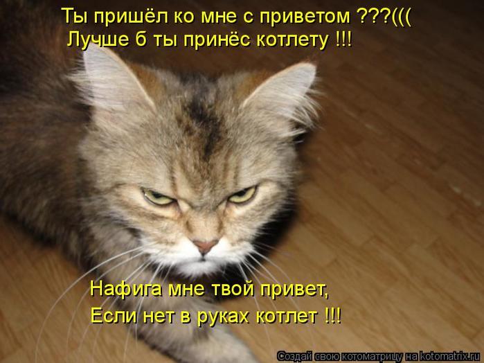 4743317_kotomatritsa_s (700x524, 51Kb)