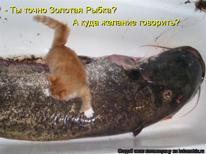 4743317_kotomatritsa_It (700x524, 54Kb)