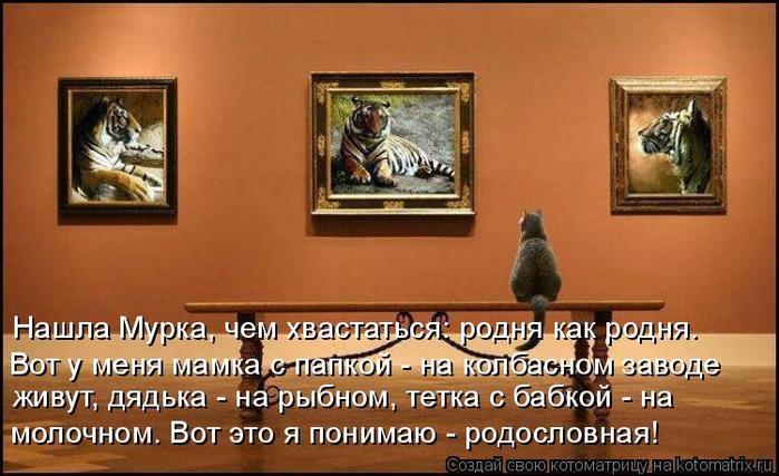 4743317_kotomatritsa_A (700x427, 56Kb)