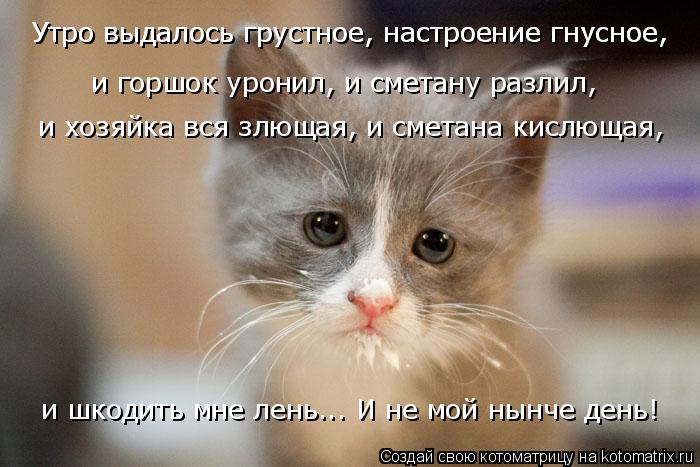 4743317_kotomatritsa_c (700x467, 57Kb)