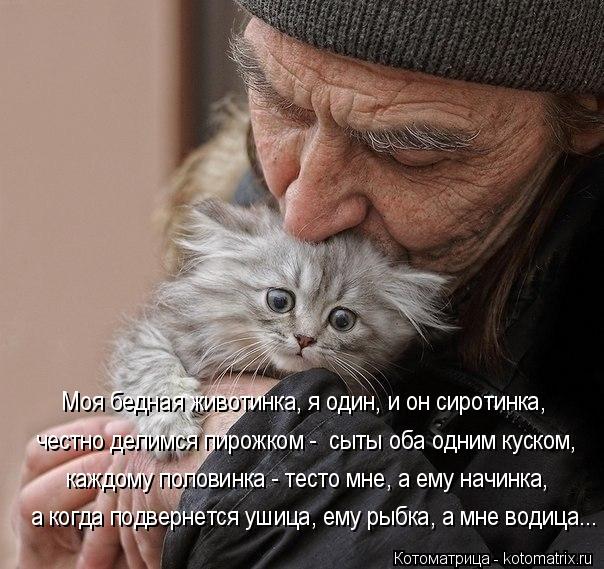 4743317_kotomatritsa_lv (604x569, 72Kb)