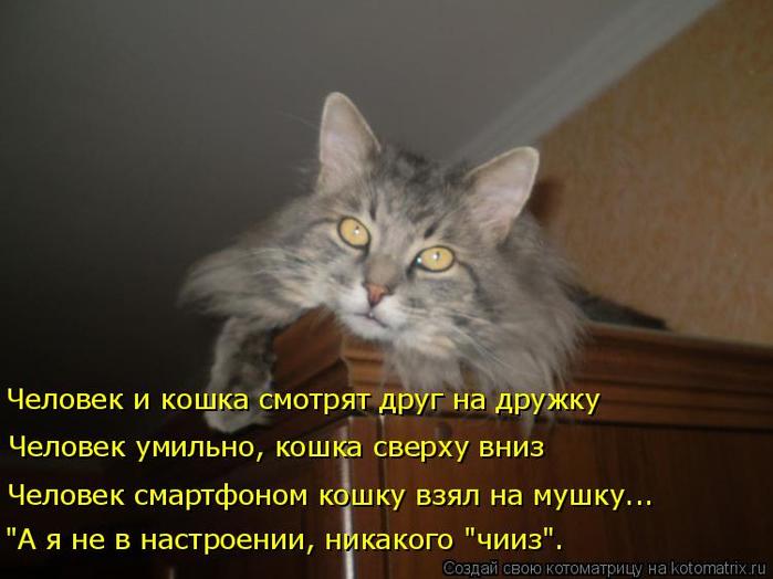 4743317_kotomatritsa_za (700x524, 42Kb)