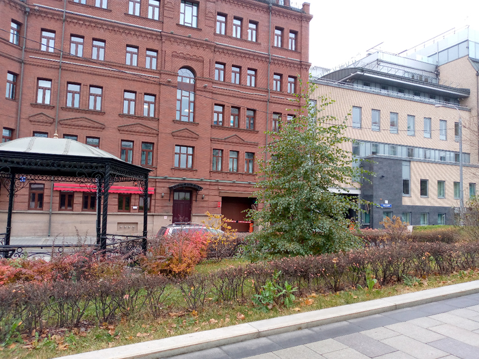 IMG_20201114_132540_931 (700x525, 549Kb)