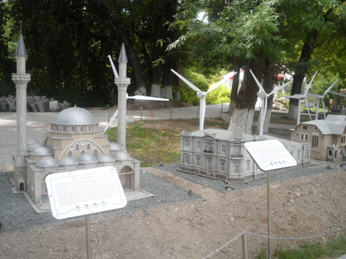 SAM_3704 (700x525, 417Kb)