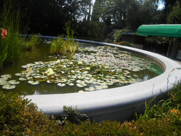 SAM_3825 (700x525, 455Kb)