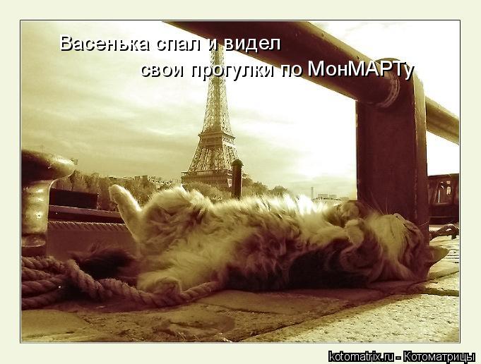 4743317_kotomatritsa__ (681x516, 55Kb)