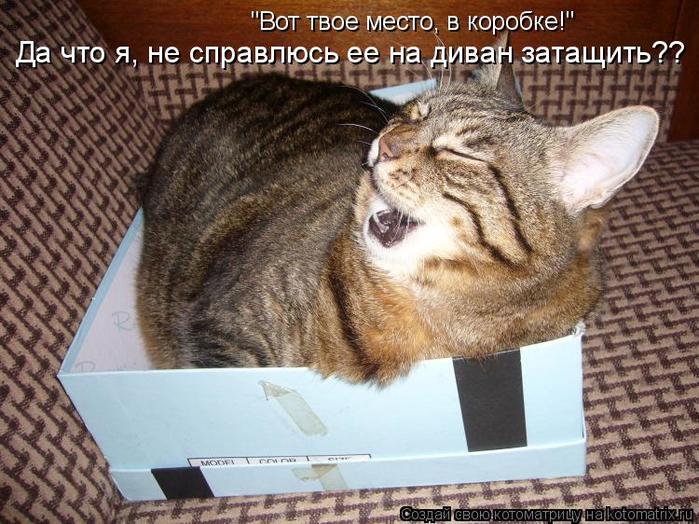 4743317_kotomatritsa_4 (700x524, 83Kb)