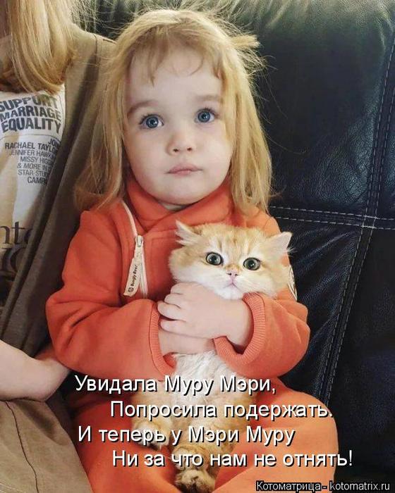 4743317_kotomatritsa_b0 (560x700, 68Kb)