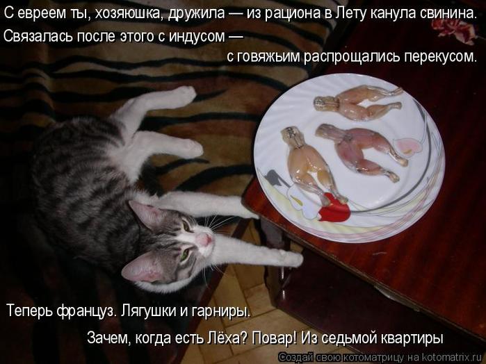 4743317_kotomatritsa_s (700x524, 58Kb)
