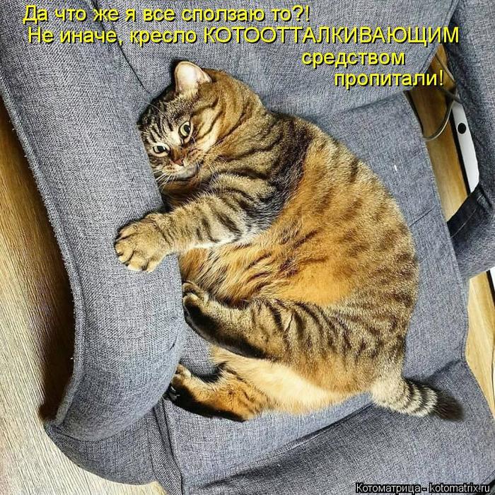 4743317_kotomatritsa_Z (700x700, 168Kb)