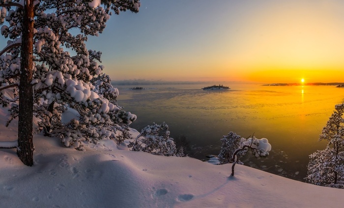 ladoga-kareliia-ozero-zima-derevia-sosny-sneg-priroda-peizaz (700x423, 104Kb)