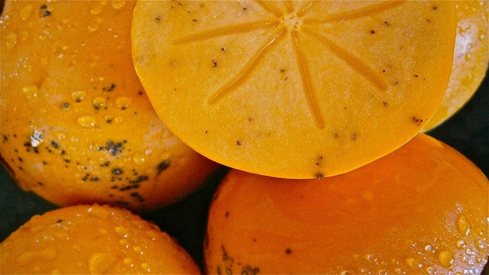 khaki-239297_1920 (700x393, 352Kb)