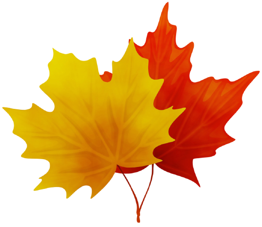 kisspng-clip-art-portable-network-graphics-maple-leaf-5d27f8832d9940.4541070015629006111868-removebg-preview (537x465, 164Kb)