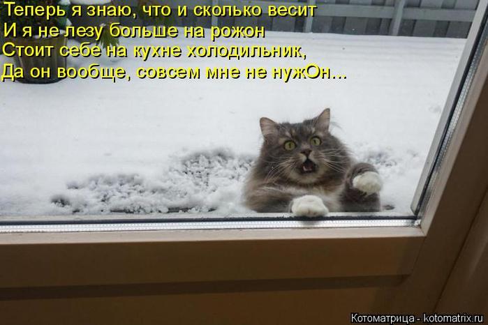 4743317_kotomatritsa_n8 (700x466, 45Kb)
