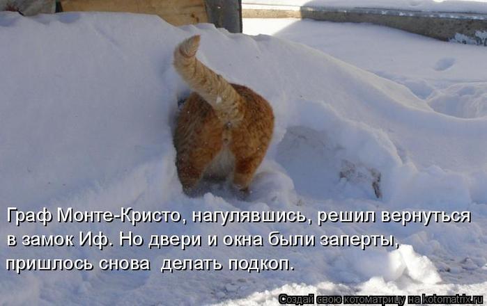 4743317_kotomatritsa_9 (700x440, 40Kb)