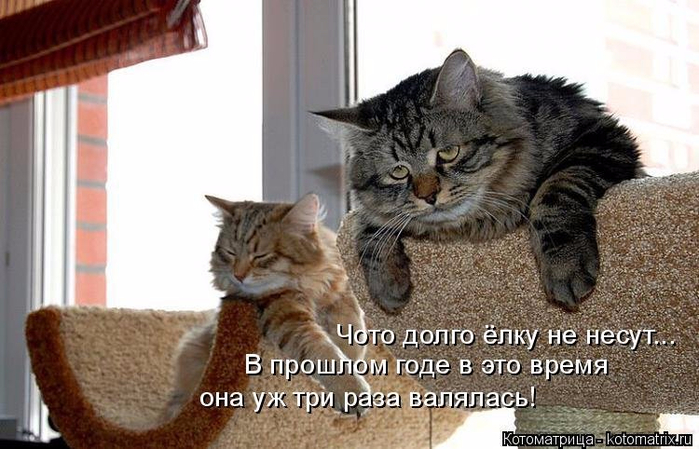 8 (700x449, 306Kb)