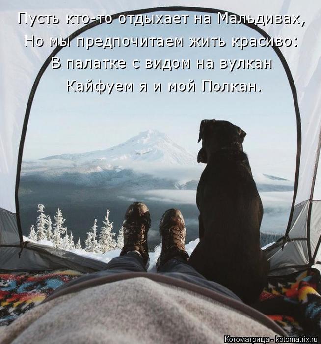 4743317_kotomatritsa_6 (654x700, 67Kb)