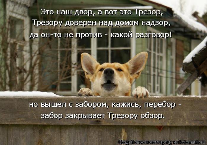 4743317_kotomatritsa_F (700x491, 60Kb)