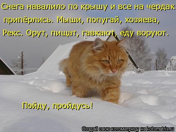 4743317_kotomatritsa_bb (600x450, 47Kb)