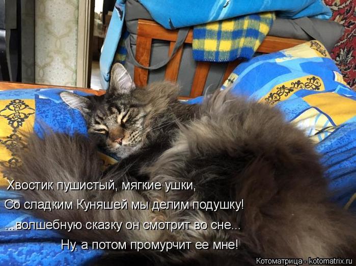 4743317_kotomatritsa_VO (700x524, 73Kb)
