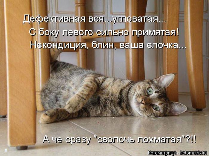 4743317_kotomatritsa_j (700x525, 64Kb)