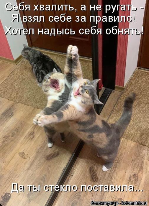 4743317_kotomatritsa_FH (505x700, 70Kb)