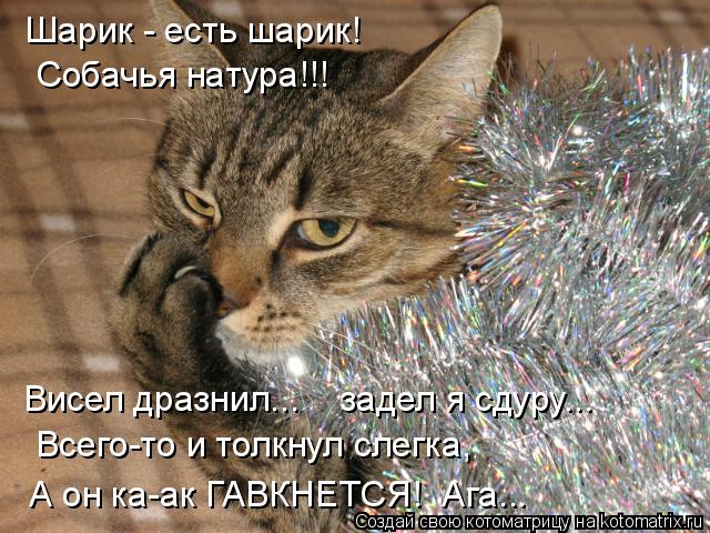 4743317_kotomatritsa_7 (640x480, 85Kb)