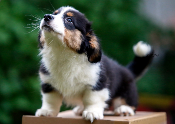 ChBMxISmo0M (700x497, 296Kb)