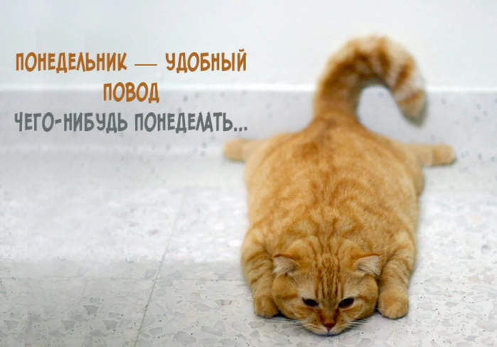 be9846491837b425ba5a0eee022713cf29561a29d273829cc03080b72a15c873 (700x488, 242Kb)