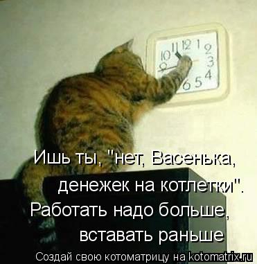 4743317_kotomatritsa_P (371x381, 25Kb)