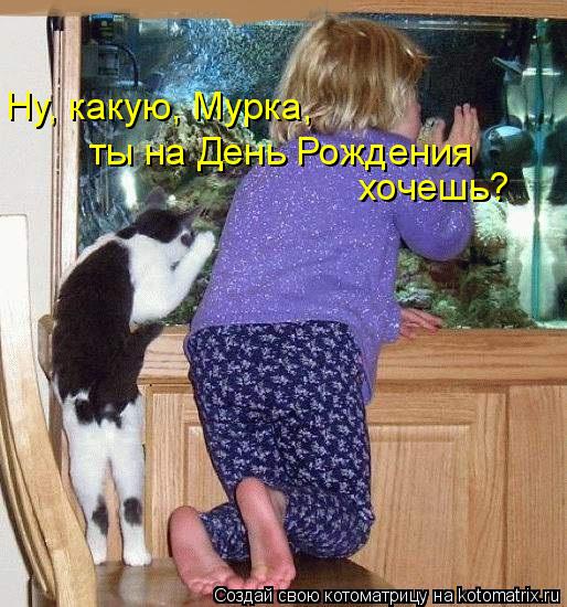4743317_kotomatritsa_i (514x550, 72Kb)