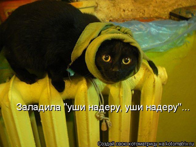 4743317_kotomatritsa_bb (640x480, 45Kb)