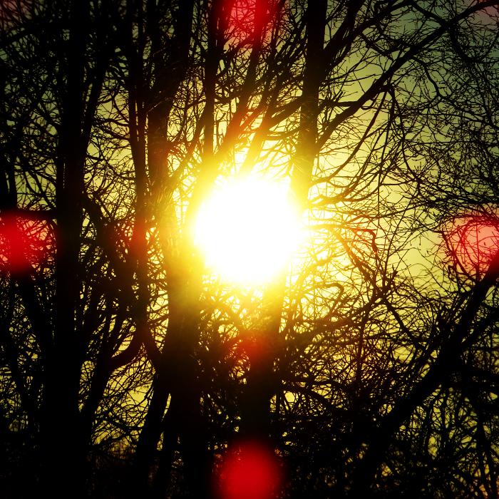 06 (700x700, 147Kb)
