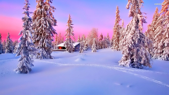 24 (700x393, 303Kb)