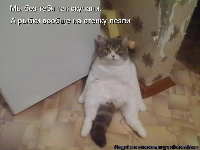 4743317_kotomatritsa_Ej (700x524, 31Kb)