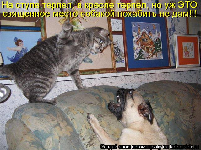 4743317_kotomatritsa_D_1 (640x480, 73Kb)