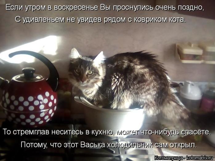 4743317_kotomatritsa_t_1 (700x524, 57Kb)