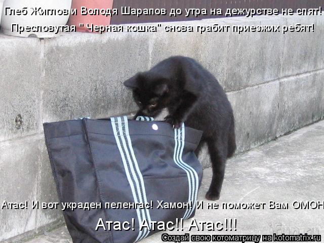 4743317_kotomatritsa_Gr (640x480, 68Kb)