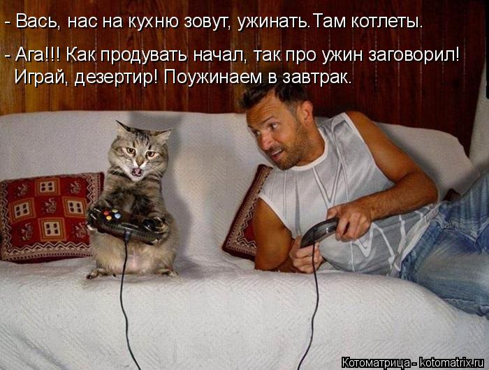 4743317_kotomatritsa_b (700x530, 69Kb)