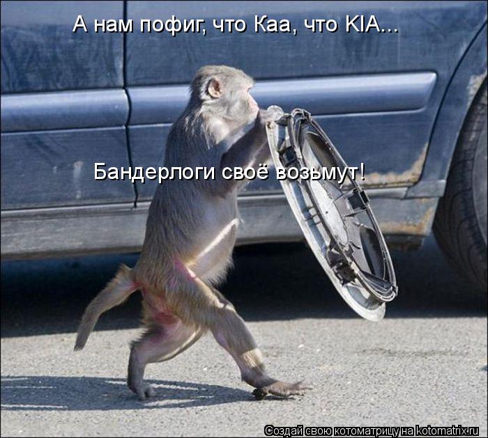 4743317_kotomatritsa_9 (700x629, 75Kb)