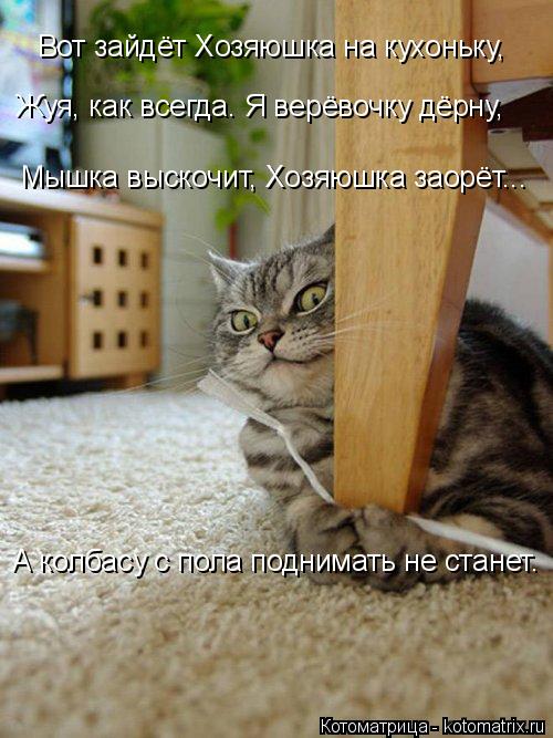 4743317_kotomatritsa_3 (500x667, 63Kb)