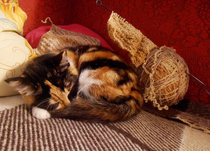 6389835_PC060051 (700x504, 116Kb)