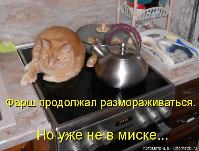 4743317_kotomatritsa_i (700x532, 55Kb)