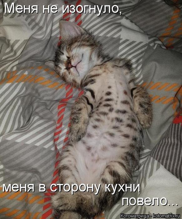 4743317_kotomatritsa_2T (583x700, 75Kb)