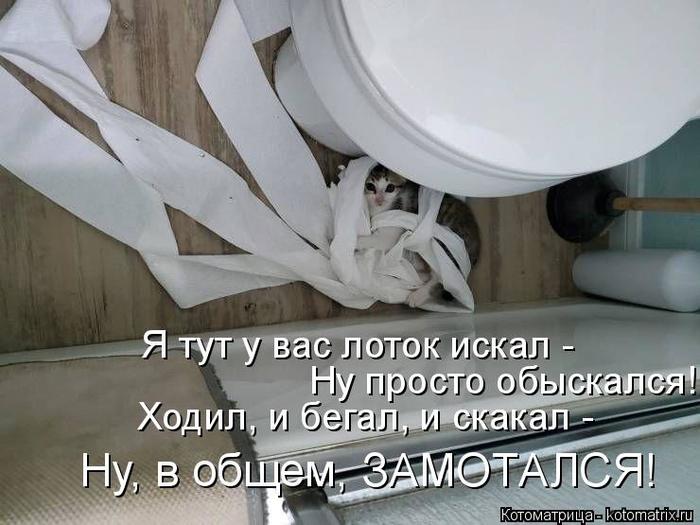 4743317_kotomatritsa_4 (700x525, 53Kb)