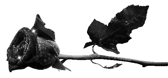 яя-черная роза птичка (550x256, 142Kb)